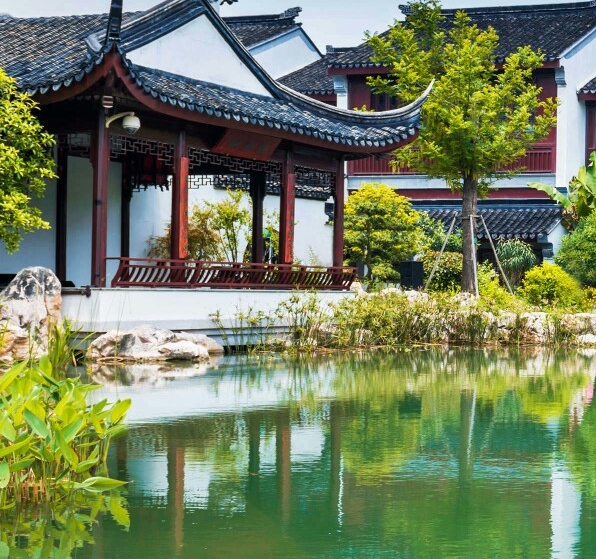 杨紫琼现在在哪里生活