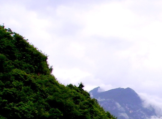 湘雅张欣简历介绍