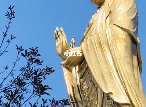 凉爽生活，清凉享受