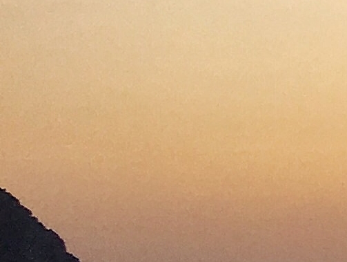 盈潇公子：两位公子的个人简历对比