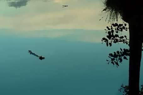 姓名测试吉凶