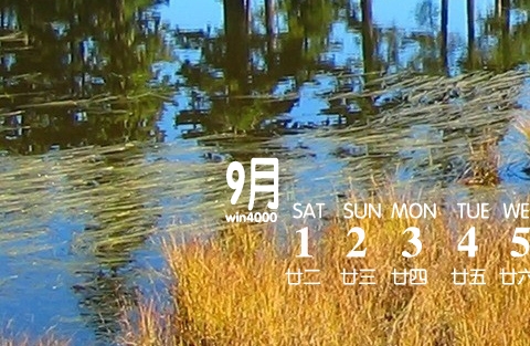 派能科技业绩快报