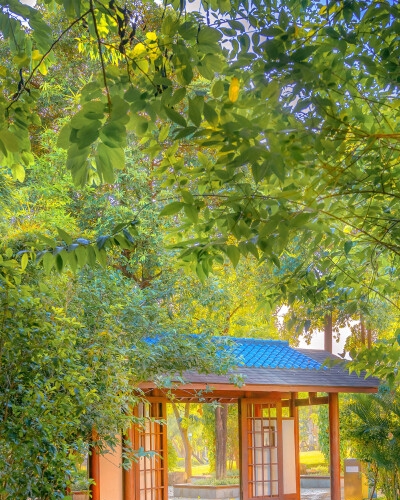 岳林昌盛集团