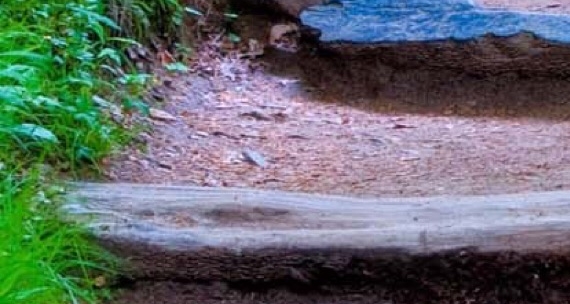 黄岛区刘振科