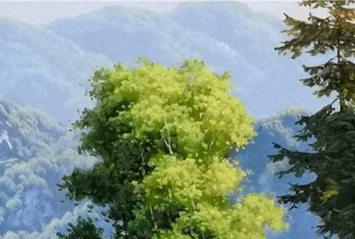 开启海滨生活，享受沙滩阳光；开启候鸟生活，追寻自然之美