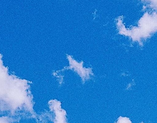 成人昭通简历：探寻昭通成人游乐园的职业机会