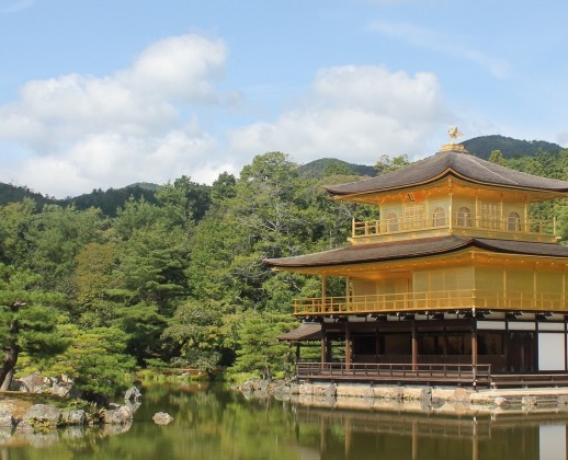 大家都在讨论的居家养花慢生活和居家养花慢生活