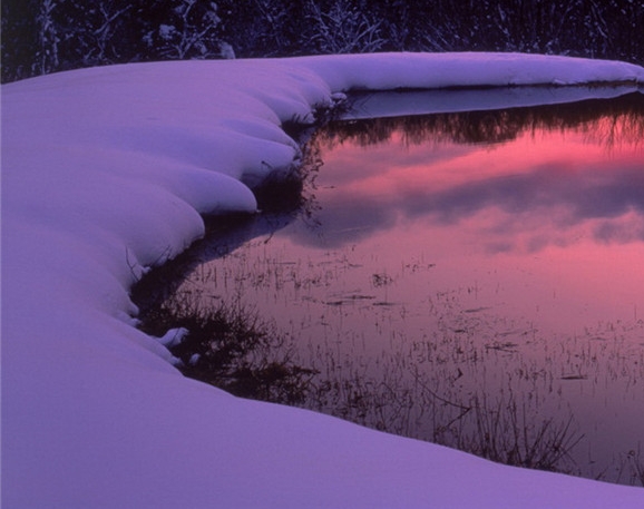 奇迹覆灭者官网