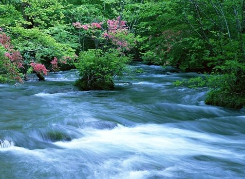 湖北明姓来历