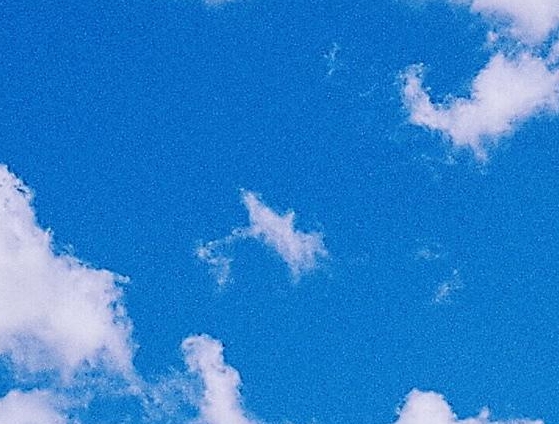 兔年宝宝姓名大全