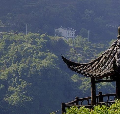 一下科技地址