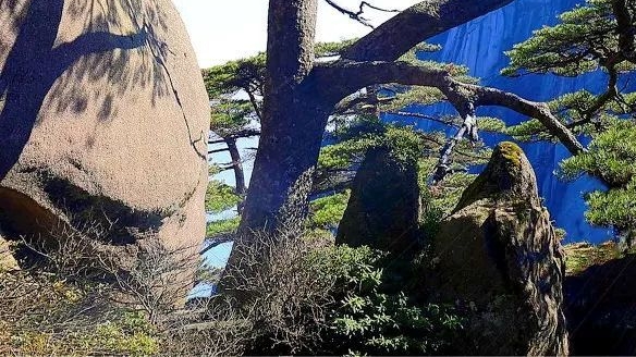 随手拍下的生活文案短句，惊艳了我的社交圈！