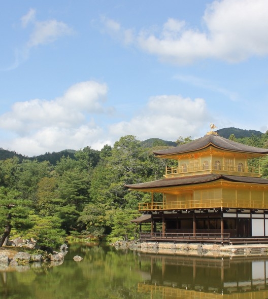 采摘器