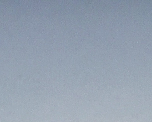 非洲小孩秃鹫