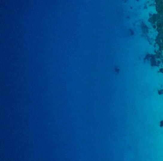 南大附中校长李海燕简历