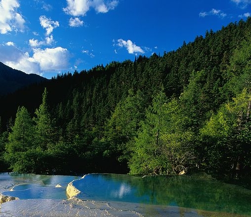 练达成简历，练奇峰简历，助你攀登职场高峰