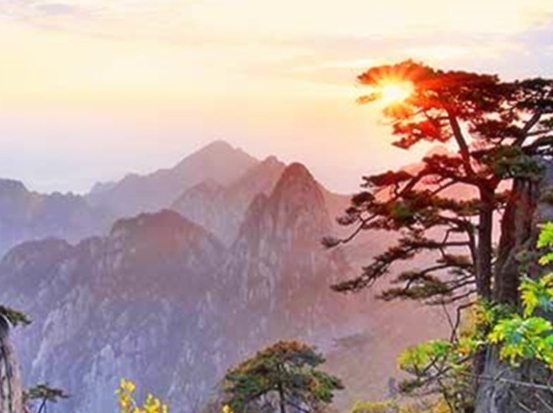 美味披萨公司是什么？美味的蔬菜披萨是其招牌菜！