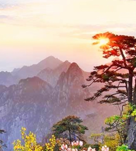 奇迹8800点圣导师加点