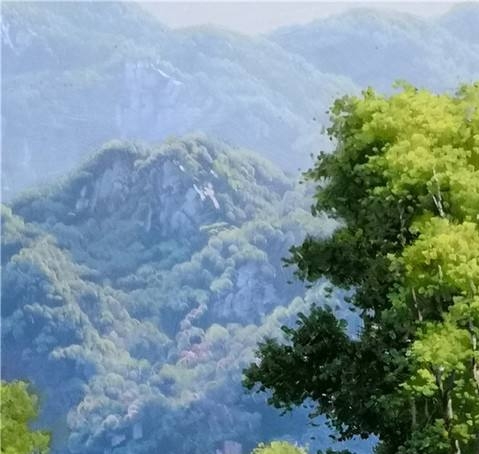 跟数学相关的趣事数学小报