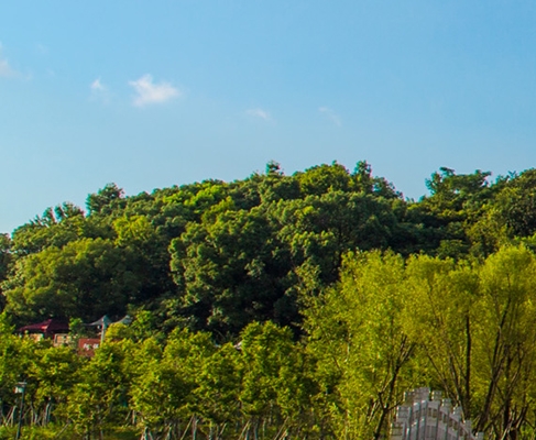 校园风景画速写