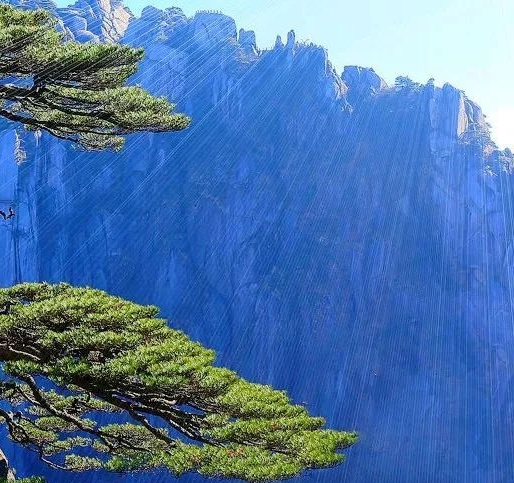 兔子与迷你世界的日常小生活