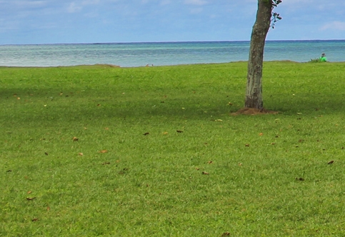 奇迹暖暖苹果安卓