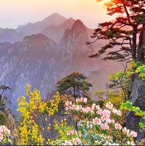 长泰南山谷庄园