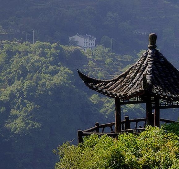 山姆蛋糕：科技与美味的完美融合在卷中