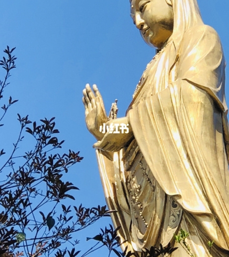 英雄联盟图片