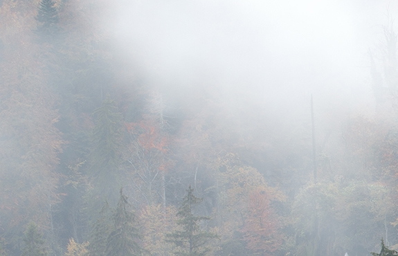 邱姐与华姐的旅居生活比较