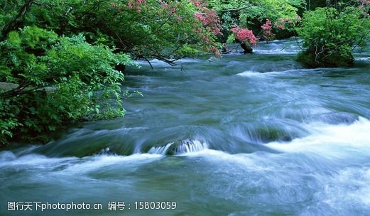 阿迪力江简历