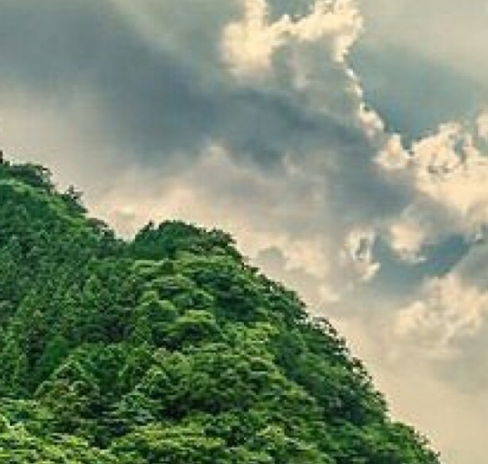 幼师简历表格 个人简历模板