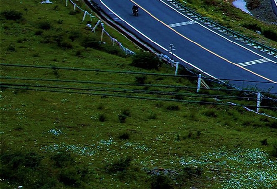安踏变速科技搭载，安踏氮科技跑鞋助你快速突破