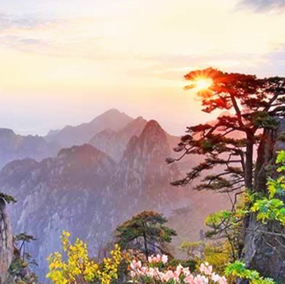我们就是奇迹mrc与我们就是奇迹的英文介绍