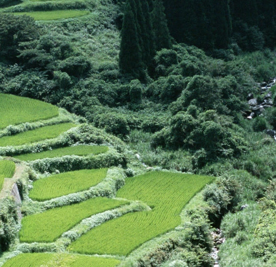 寿宁近期寿宁大事