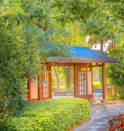 杨杰科技为何大跌