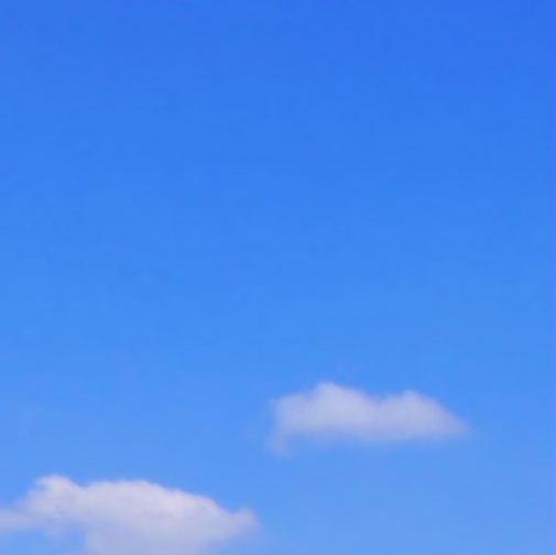 学校生活日记50字