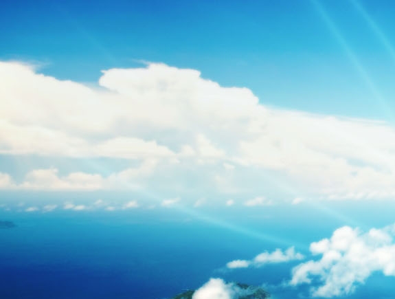 海绵宝宝之美味热狗