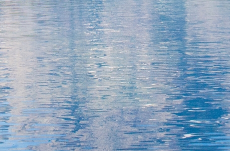 鸿海科技日