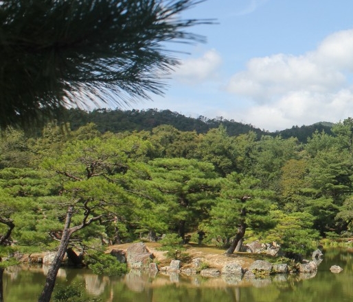 甘肃改姓名办理流程详解