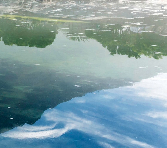 红尘风水大师简历