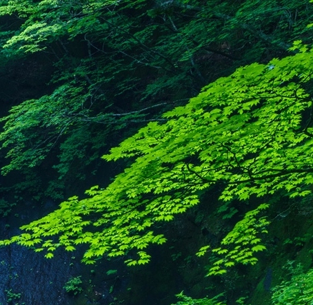 箱式挂车司机与开挂车司机的生活比较