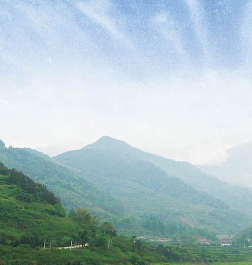 生活不易,一路艰辛