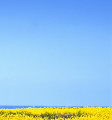 乡村生活插画