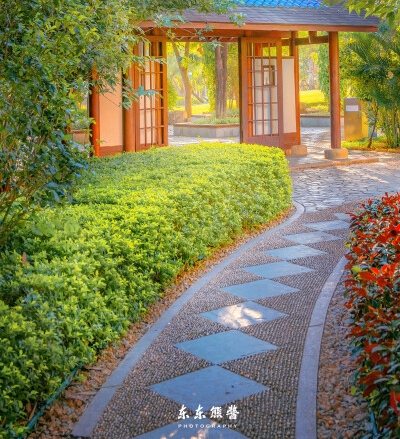 校园趣事、风景、人物——简单速写！