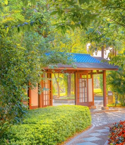 台湾花敬群