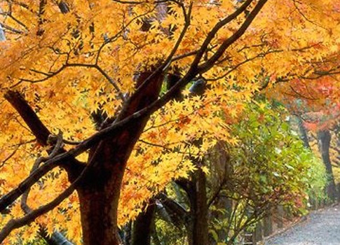 和田驻村补助标准