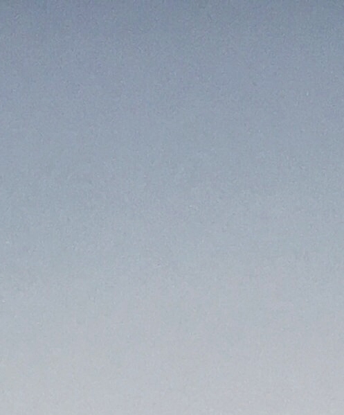 洛丽塔的生活