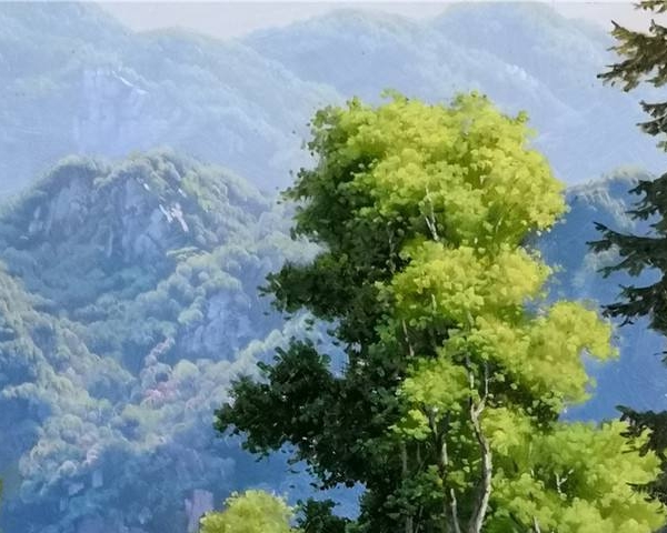 终南山飞机救人视频