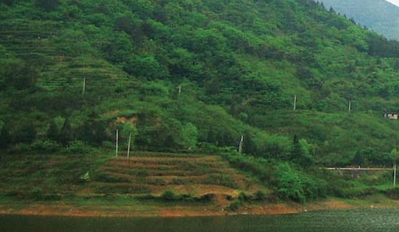 华润医药投简历多久